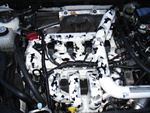 JerseySpeed's Avatar