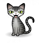 cfbisel's Avatar