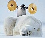 arcticms3's Avatar