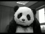The Panda's Avatar
