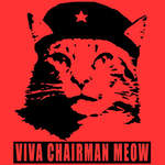 socaltouch13's Avatar