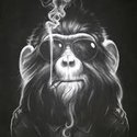 MunkieJunkie's Avatar