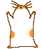 hamsterman's Avatar